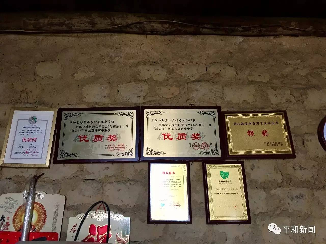 彭岩山茶叶：精益求精 父子共制好茶香